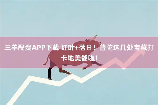 三羊配资APP下载 红叶+落日！普陀这几处宝藏打卡地美翻啦！